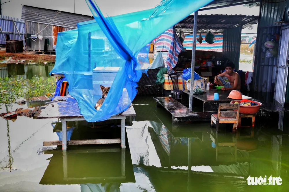 Sống du mục ngay giữa Sài Gòn - Ảnh 11. Sống du mục ngay giữa Sài Gòn - Ảnh 11.