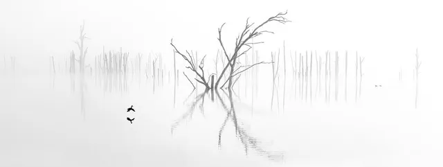 Xem ảnh quốc tế Epson 2017 đẹp ngỡ ngàng