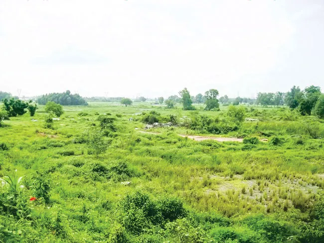 Khắc phục sớm tình trạng quy hoạch treo ảnh 1