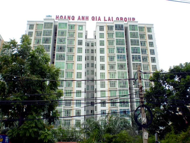 Thăng trầm đại gia phố núi (K1): Đầu tư đa ngành-lợi đơn, thiệt kép ảnh 1