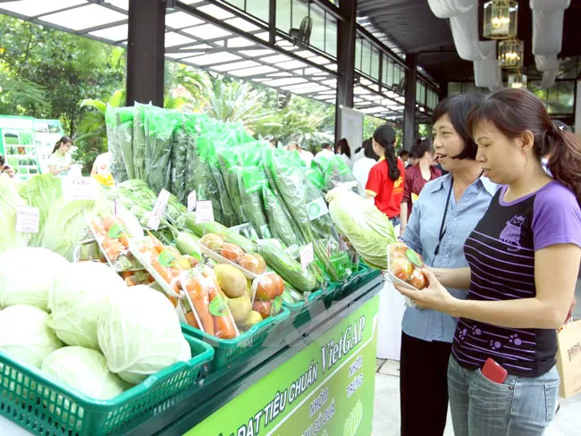 Nỗi lo an toàn thực phẩm ảnh 1
