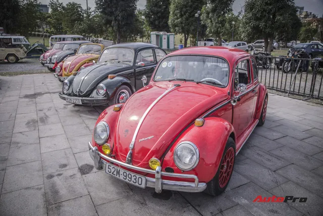 Chiêm ngưỡng dàn bọ già Volkswagen Beetle đủ sắc màu tại Hà Nội - Ảnh 5.