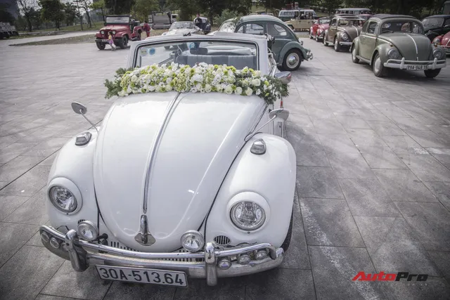 Chiêm ngưỡng dàn bọ già Volkswagen Beetle đủ sắc màu tại Hà Nội - Ảnh 4.