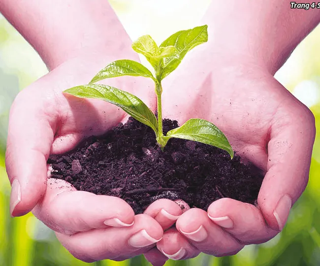 Sản xuất nông nghiệp hữu cơ: Đón xu đầu xu thế tiêu dùng bùng nổ ảnh 1