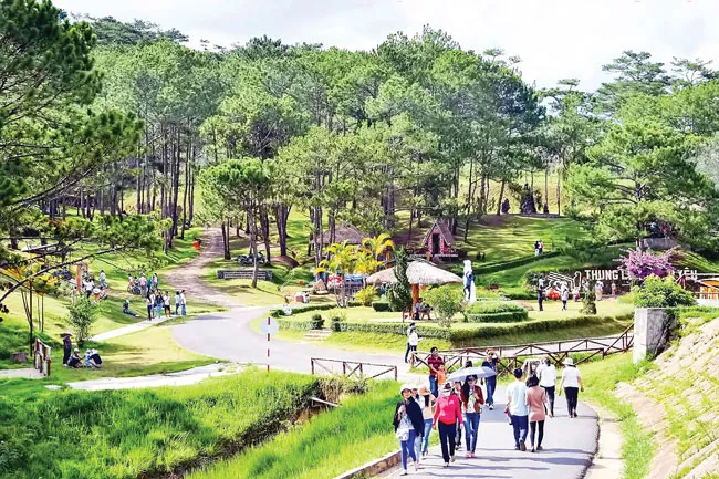 Du xuân nhiều lựa chọn ảnh 1