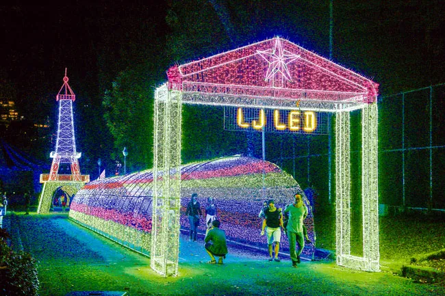 Rực rỡ sắc màu lễ hội đèn LED ảnh 8