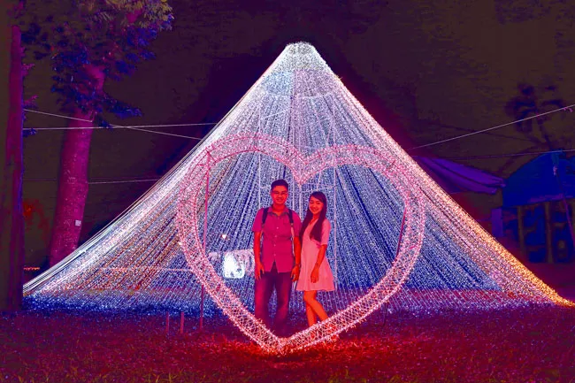 Rực rỡ sắc màu lễ hội đèn LED ảnh 3