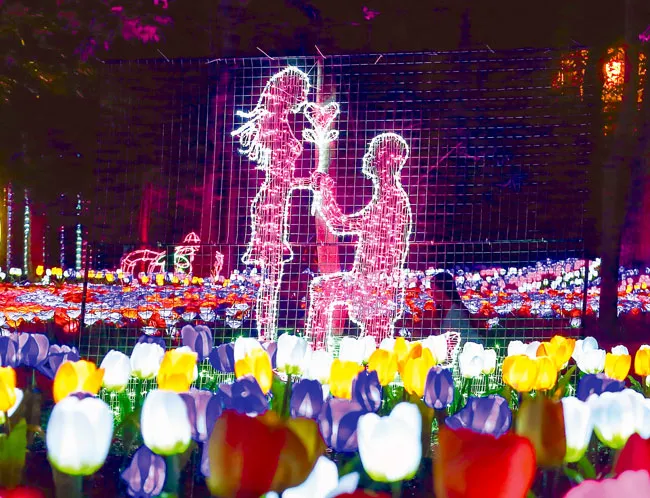 Rực rỡ sắc màu lễ hội đèn LED ảnh 4