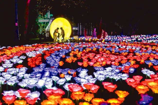 Rực rỡ sắc màu lễ hội đèn LED ảnh 5