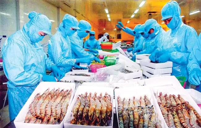 Sức bật ngành thủy sản ảnh 1