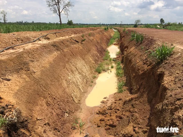 Rừng suy giảm, voi rừng liên tục tấn công, phá hoại cây trồng - Ảnh 4. Rừng suy giảm, voi rừng liên tục tấn công, phá hoại cây trồng - Ảnh 4.