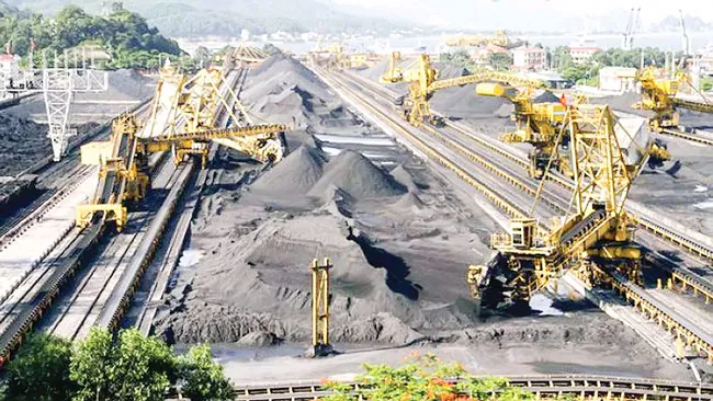 TKV phản hồi nội dung kết luận thanh tra ảnh 1