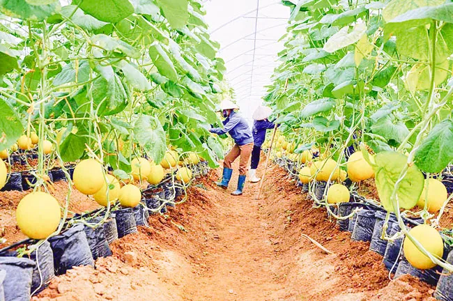 Tạo mọi điều kiện giảm lãi suất ảnh 1