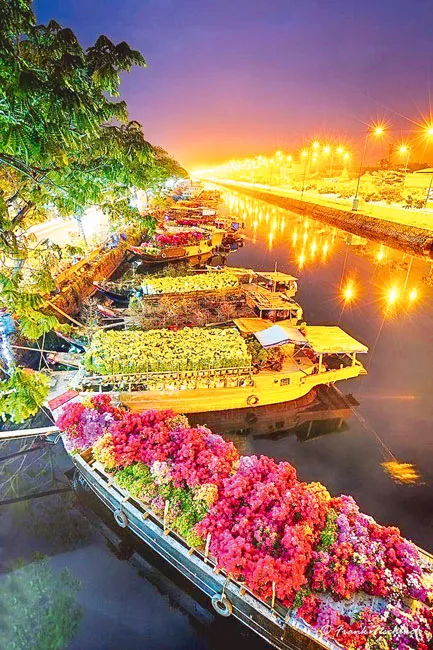 Thương hồ qua lòng thành phố ảnh 1