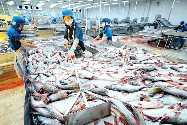 Cổ đông “vua cá tra” HVG lao đao ảnh 1