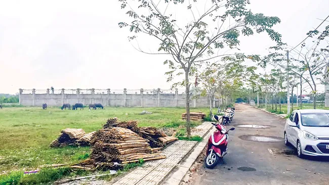 Xu hướng tăng giá đất nền ảnh 1