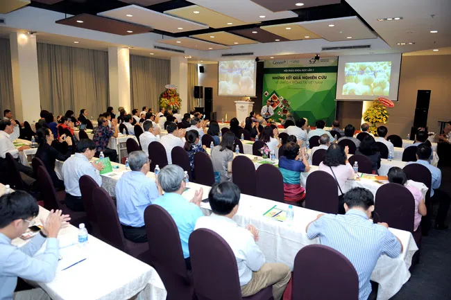 Huyền diệu cây nấm Linh chi ảnh 1