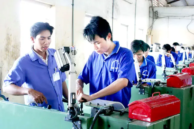 Đào tạo nguồn nhân lực: Lạc điệu, xa rời thực tiễn ảnh 1