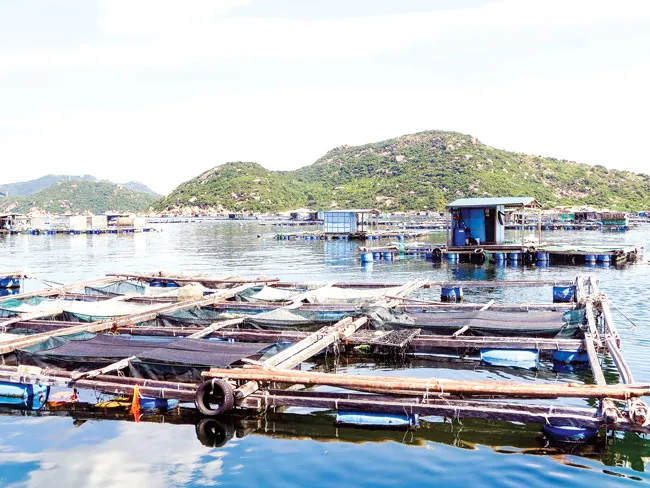 Hoang sơ đảo ngọc Bình Ba ảnh 3