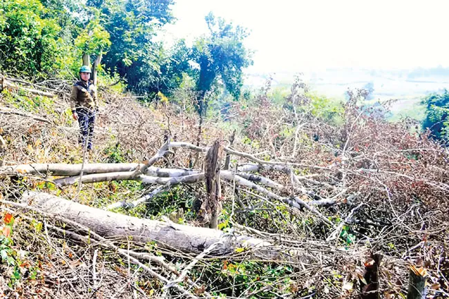 Quản lý rừng ở Phú Yên: Sai phạm cấp phép khai thác khoáng sản ảnh 1