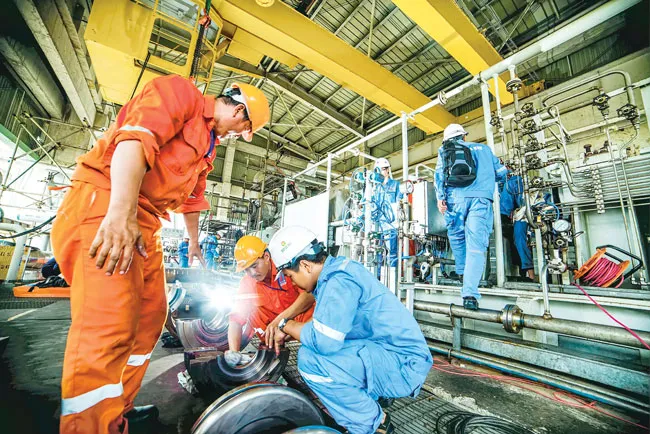 Đạm Cà Mau - Tự tin vững bước ảnh 1