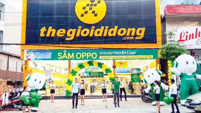 TAG lao dốc hậu thâu tóm, MWG có biết? ảnh 2