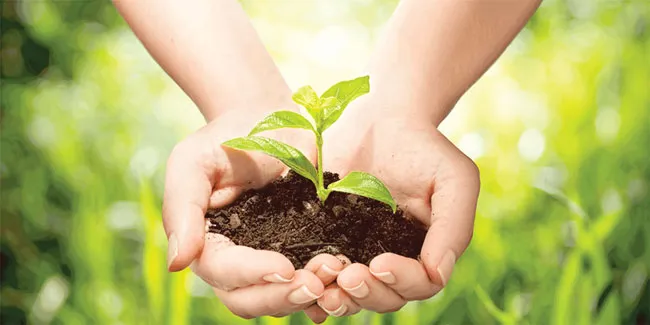 Australia - Làm giàu từ nông nghiệp ảnh 5