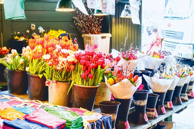 Australia - Làm giàu từ nông nghiệp ảnh 2