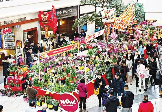 Thế giới háo hức đón Tết Mậu Tuất ảnh 2 Thế giới háo hức đón Tết Mậu Tuất ảnh 1