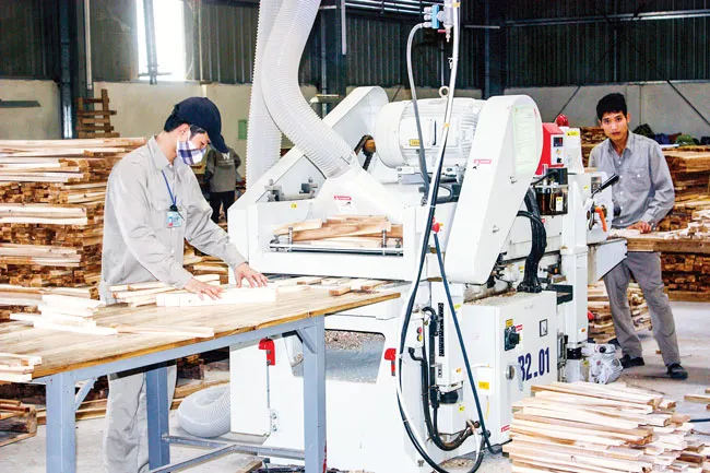 Vươn tầm câu lạc bộ tỷ USD ảnh 1