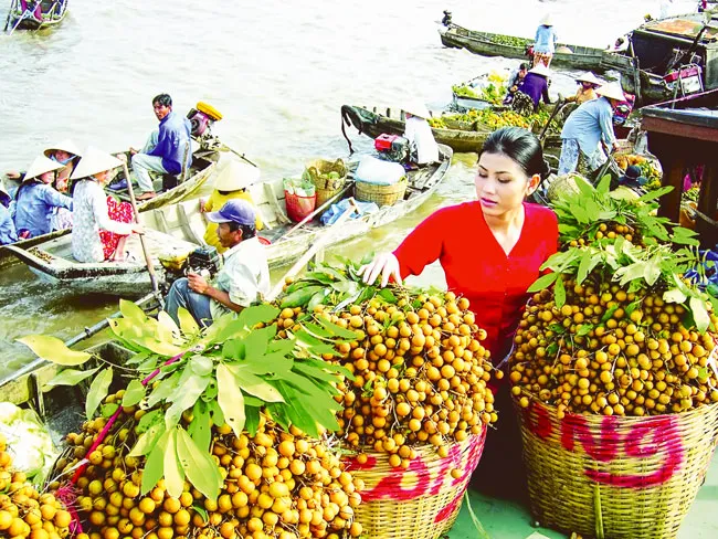 Cơ hội bị bỏ ngỏ ở thị trường Canada ảnh 1