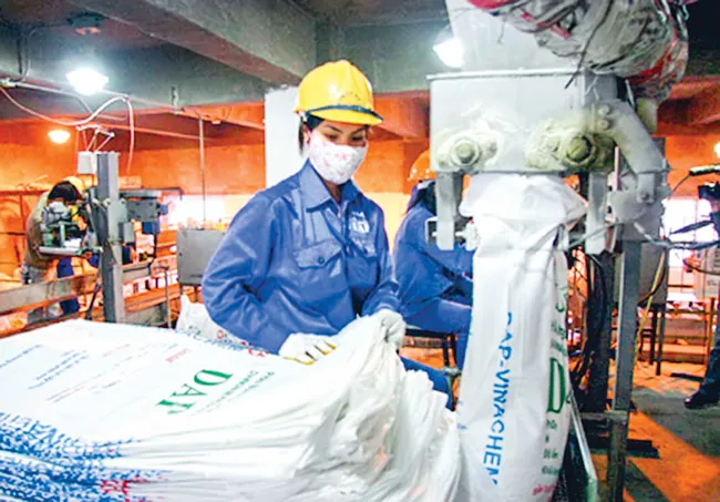 Cổ phiếu phân bón “thoát hiểm” nhờ bảo hộ ảnh 1
