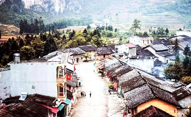 Lặng lẽ Phó Bảng ảnh 1