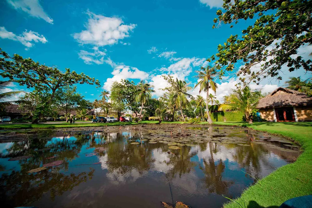 Nhung noi dam hoi tho dong que gan Sai Gon hinh anh 2