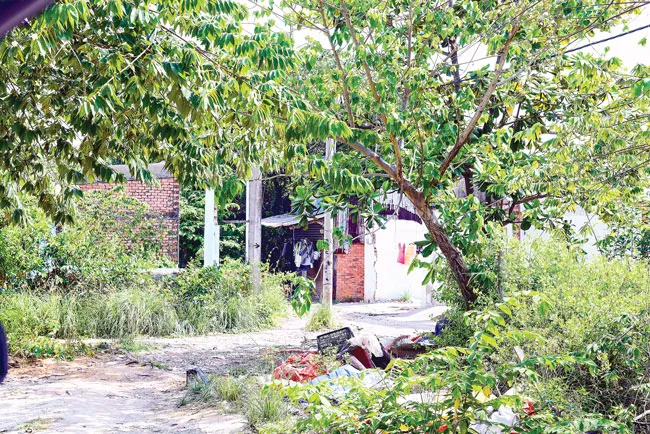 Có quá ưu ái TCT Xây dựng số 1? ảnh 3