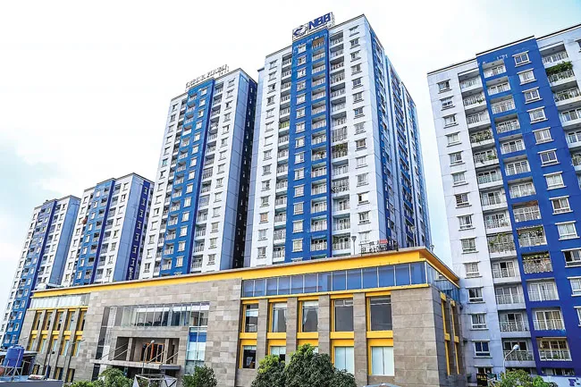 NBB “thoát xác” Carina? ảnh 1