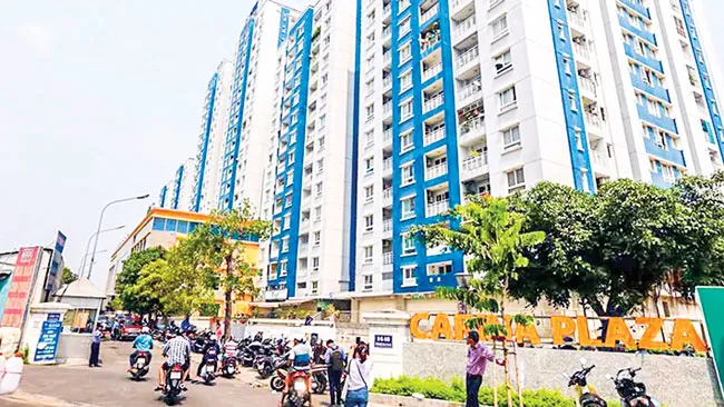 Dư chấn Carina ảnh 1