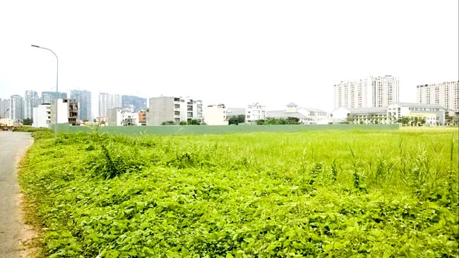 Quy hoạch mỗi nơi một kiểu ảnh 1