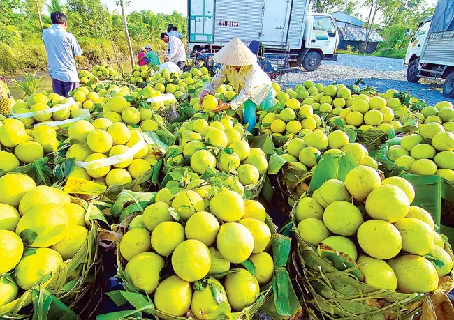 Kinh tế Việt Nam: Nhiều thách thức với mục tiêu 2020 ảnh 1