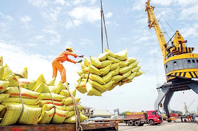 Việt Nam - Điều kỳ diệu kinh tế thế giới ảnh 1