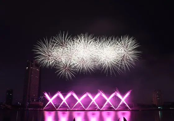 Bầu trời Đà Nẵng rực rỡ pháo hoa ảnh 24