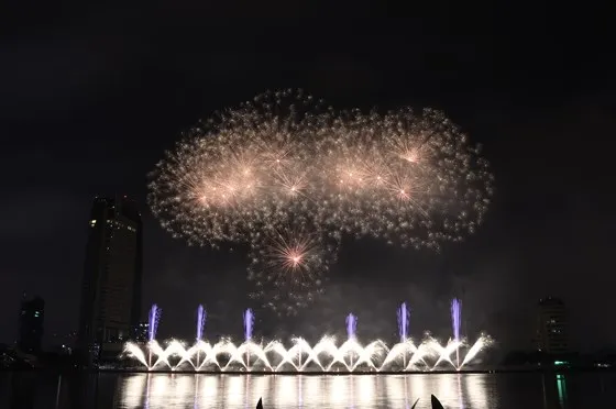 Bầu trời Đà Nẵng rực rỡ pháo hoa ảnh 27