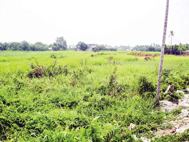 Dự án không khả thi, trả lại đất cho dân ảnh 1