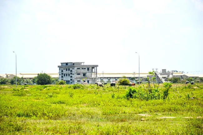 “Trái đắng” đất Bình Dương ảnh 1