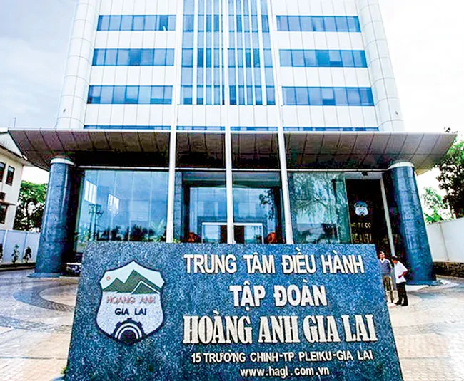 Vi phạm công bố thông tin ngày càng trầm trọng ảnh 1