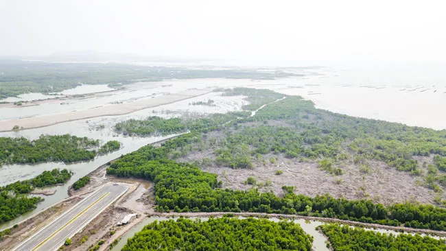 Thu hồi dự án Cảng CMH chưa đúng quy định ảnh 1