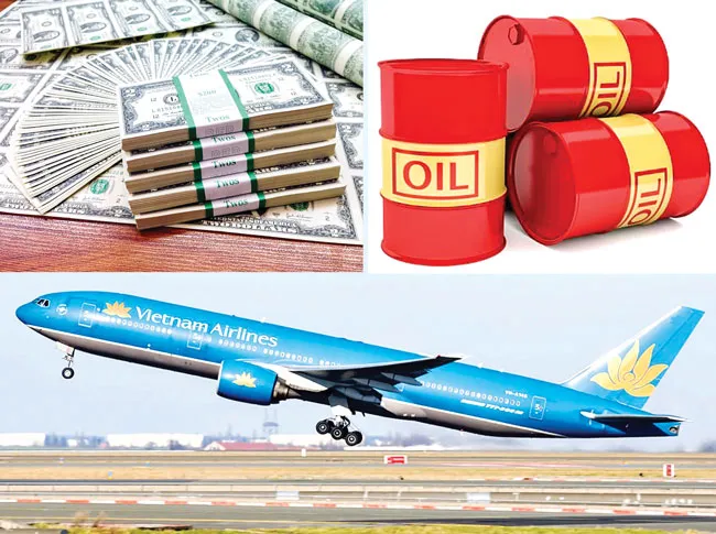 HVN nguy cơ vỡ kế hoạch 2018 ảnh 1