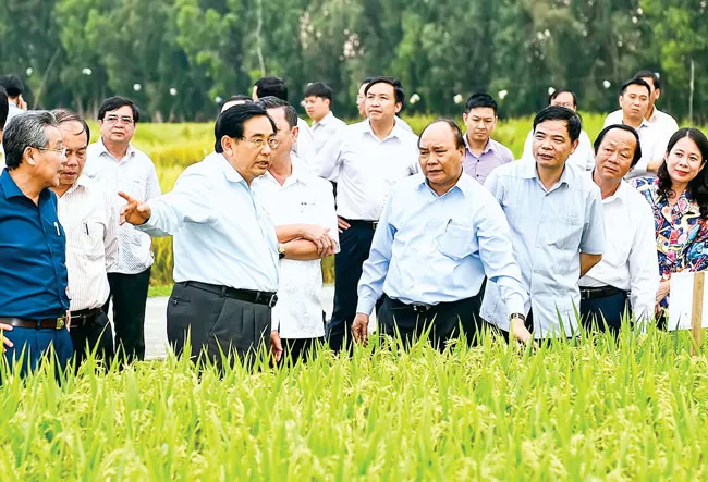 Ngành nông nghiệp hữu cơ: Vẫn loay hoay trong thế khó ảnh 2