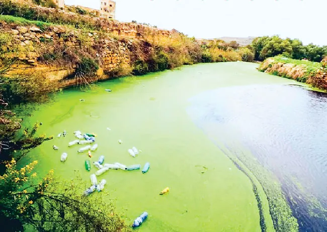 Châu Âu không trong lành (K2): Ô nhiễm nước ảnh 1