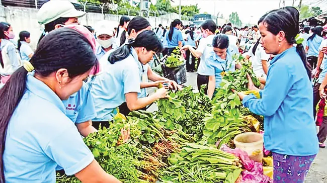 Cải cách thuế, thiếu công bằng ảnh 1